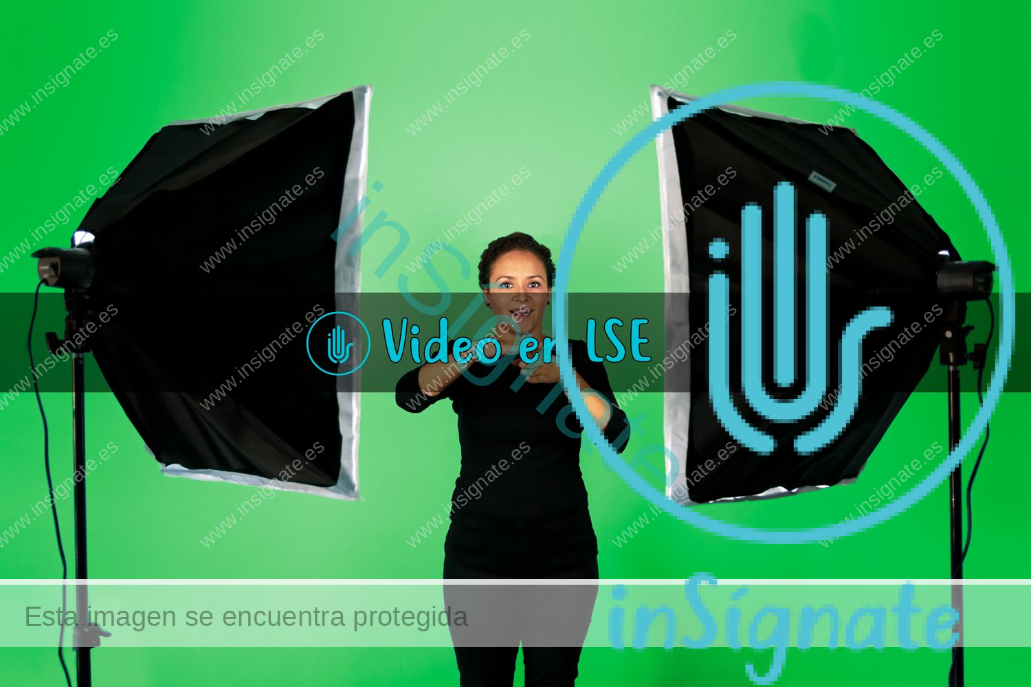 servicios de accesibilidad en material audiovisual para personas sordas signantes